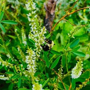 Meet your Posher, Kyla